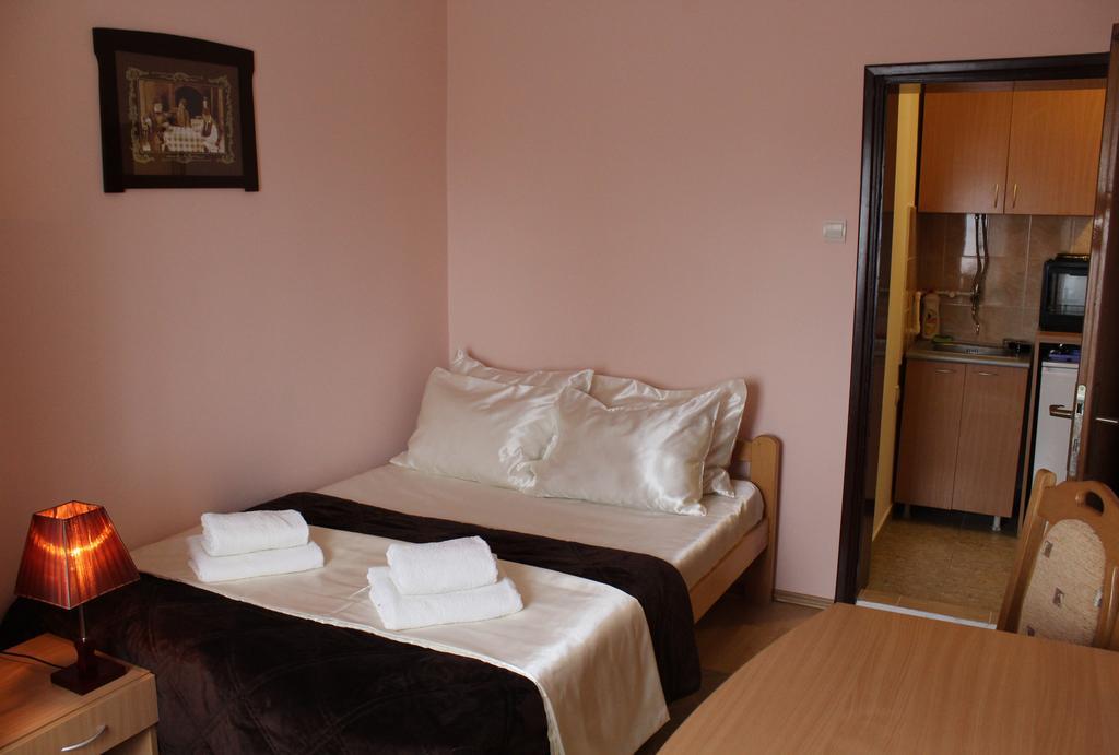 Guest Accommodation Zone Niska Banja Room photo